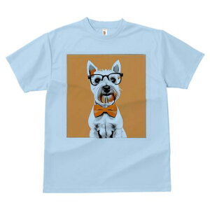 EGXgnChzCgeA TVc  j[NfUCfB[X t@  t vg lJWA 킢 lԗp Mtg I ҏ΍ lN^C EGXgn