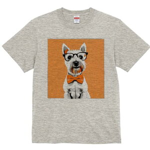 EGXgnChzCgeA TVc  j[NfUCfB[X t@  t vg lJWA 킢 lԗp Mtg I ҏ΍ lN^C EGXgn