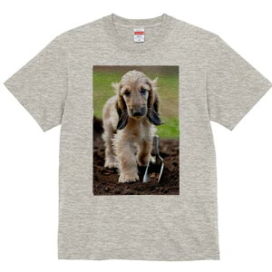 AtKnEh TVc  j[NfUCfB[X t@  t vg lJWA 킢 lԗp Mtg I ҏ΍ y AtKnEh Vx