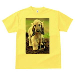 AtKnEh TVc  j[NfUCfB[X t@  t vg lJWA 킢 lԗp Mtg I ҏ΍ y AtKnEh Vx