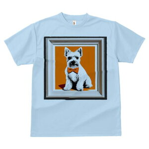 EGXgnChzCgeA TVc  j[NfUCfB[X t@  t vg lJWA 킢 lԗp Mtg I ҏ΍ lN^C EGXgn