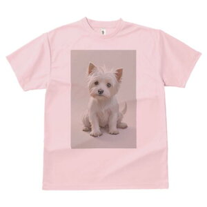 EGXgnChzCgeA TVc  j[NfUCY LbY t@  t vg lJWA 킢 lԗp Mtg I ҏ΍ EGXgnCh