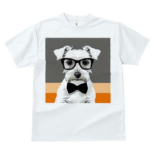 ~j`AViEU[ TVc  j[NfUCfB[X t@  t vg lJWA 킢 lԗp Mtg I ҏ΍ Kl ~j`AViEU[ 