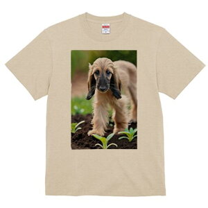 AtKnEh TVc  j[NfUCfB[X t@  t vg lJWA 킢 lԗp Mtg I ҏ΍ y AtKnEh A