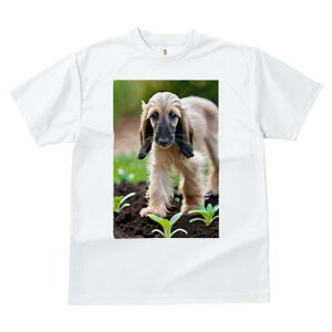 AtKnEh TVc  j[NfUCfB[X t@  t vg lJWA 킢 lԗp Mtg I ҏ΍ y AtKnEh A