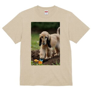 AtKnEh TVc  j[NfUCfB[X t@  t vg lJWA 킢 lԗp Mtg I ҏ΍ y AtKnEh  