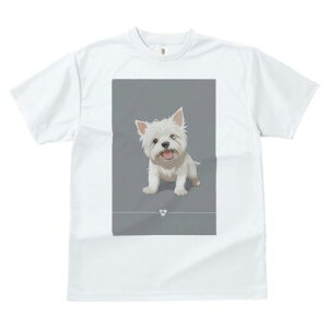 EGXgnChzCgeA TVc  j[NfUCfB[X t@  t vg lJWA 킢 lԗp Mtg I ҏ΍ EGXgnChz