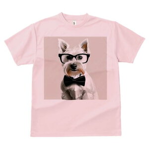 EGXgnChzCgeA TVc  j[NfUCfB[X t@  t vg lJWA 킢 lԗp Mtg I ҏ΍ Kl EGXgnC