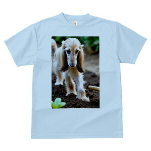 AtKnEh TVc  j[NfUCfB[X t@  t vg lJWA 킢 lԗp Mtg I ҏ΍ y AtKnEh 