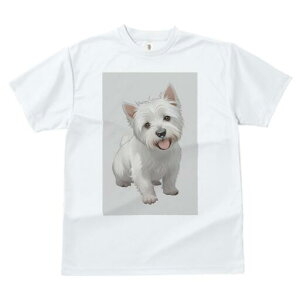 EGXgnChzCgeA TVc  j[NfUCY LbY t@  t vg lJWA 킢 lԗp Mtg I ҏ΍ EGXgnCh