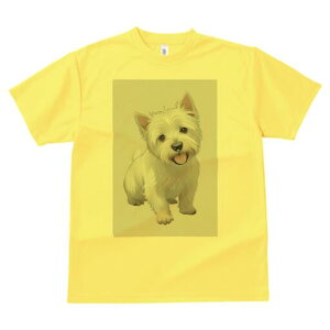 EGXgnChzCgeA TVc  j[NfUCfB[X t@  t vg lJWA 킢 lԗp Mtg I ҏ΍ EGXgnChz