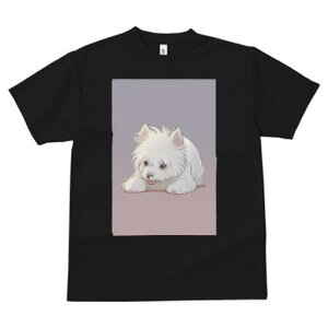 EGXgnChzCgeA TVc  j[NfUCfB[X t@  t vg lJWA 킢 lԗp Mtg I ҏ΍ EGXgnChz