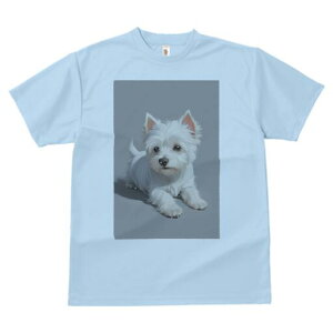 EGXgnChzCgeA TVc  j[NfUCfB[X t@  t vg lJWA 킢 lԗp Mtg I ҏ΍ EGXgnChz