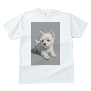 �E�G�X�g�n�C�����h�z���C�g�e���A T�V���c ���� ���j�[�N�f�U�C�����f�B�[�X ���t�@�� ���� �t�� �v�����g ��l�J�W���A�� ���킢�� �l�ԗp �M�t�g ���I �ҏ��΍� �E�G�X�g�n�C�����h�z