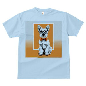 EGXgnChzCgeA TVc  j[NfUCY LbY t@  t vg lJWA 킢 lԗp Mtg I ҏ΍ Kl EGXgn