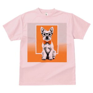 EGXgnChzCgeA TVc  j[NfUCfB[X t@  t vg lJWA 킢 lԗp Mtg I ҏ΍ Kl EGXgnC