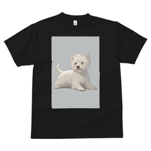 EGXgnChzCgeA TVc  j[NfUCfB[X t@  t vg lJWA 킢 lԗp Mtg I ҏ΍ EGXgnChz