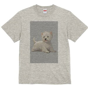 EGXgnChzCgeA TVc  j[NfUCfB[X t@  t vg lJWA 킢 lԗp Mtg I ҏ΍ EGXgnChz