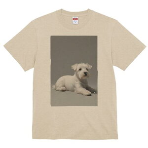 EGXgnChzCgeA TVc  j[NfUCfB[X t@  t vg lJWA 킢 lԗp Mtg I ҏ΍ EGXgnChz