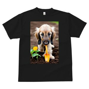 AtKnEh TVc  j[NfUCfB[X t@  t vg lJWA 킢 lԗp Mtg I ҏ΍ Vx AtKnEh 