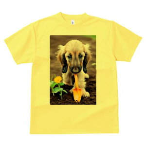 AtKnEh TVc  j[NfUCfB[X t@  t vg lJWA 킢 lԗp Mtg I ҏ΍ Vx AtKnEh 