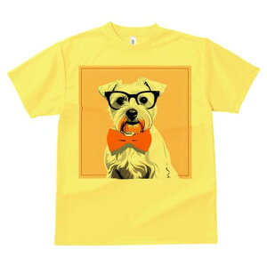 ~j`AViEU[ TVc  j[NfUCfB[X t@  t vg lJWA 킢 lԗp Mtg I ҏ΍ Kl ~j`AViEU[ 