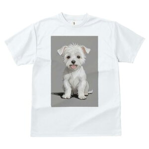 }`[Y TVc  j[NfUCfB[X t@  t vg lJWA 킢 lԗp Mtg I ҏ΍ }`[Y