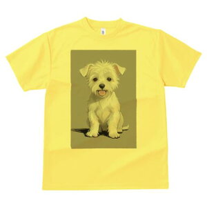 }`[Y TVc  j[NfUCfB[X t@  t vg lJWA 킢 lԗp Mtg I ҏ΍ }`[Y