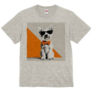 EGXgnChzCgeA TVc  j[NfUCfB[X t@  t vg lJWA 킢 lԗp Mtg I ҏ΍ TOX EGXgn