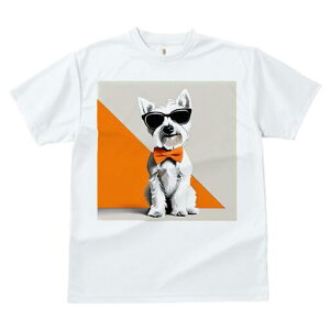 EGXgnChzCgeA TVc  j[NfUCfB[X t@  t vg lJWA 킢 lԗp Mtg I ҏ΍ TOX EGXgn