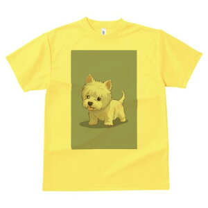 EGXgnChzCgeA TVc  j[NfUCY LbY t@  t vg lJWA 킢 lԗp Mtg I ҏ΍ EGXgnCh