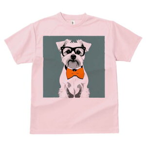 ~j`AViEU[ TVc  j[NfUCfB[X t@  t vg lJWA 킢 lԗp Mtg I ҏ΍ Kl ~j`AViEU[ 