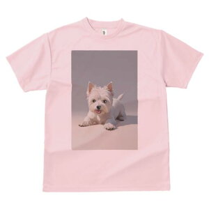 EGXgnChzCgeA TVc  j[NfUCfB[X t@  t vg lJWA 킢 lԗp Mtg I ҏ΍ EGXgnChz