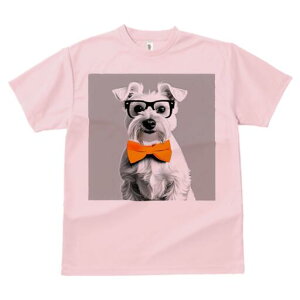 ~j`AViEU[ TVc  j[NfUCY LbY t@  t vg lJWA 킢 lԗp Mtg I ҏ΍ Kl ~j`AViEU