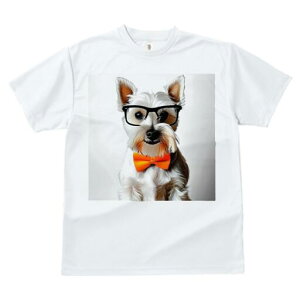 ~j`AViEU[ TVc  j[NfUCfB[X t@  t vg lJWA 킢 lԗp Mtg I ҏ΍ Kl ~j`AViEU[ 