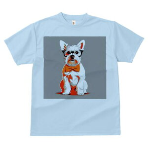 EGXgnChzCgeA TVc  j[NfUCfB[X t@  t vg lJWA 킢 lԗp Mtg I ҏ΍ Kl EGXgnC