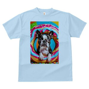 {XgeA TVc  j[NfUCfB[X t@  t vg lJWA 킢 lԗp Mtg I ҏ΍ h[ic {XgeA XC[c َq 