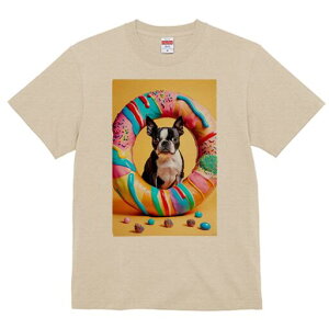 {XgeA TVc  j[NfUCfB[X t@  t vg lJWA 킢 lԗp Mtg I ҏ΍ h[ic {XgeA XvN X