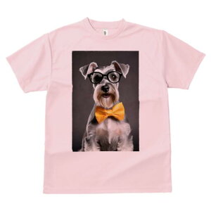 ~j`AViEU[ TVc  j[NfUCfB[X t@  t vg lJWA 킢 lԗp Mtg I ҏ΍ Kl ~j`AViEU[ 