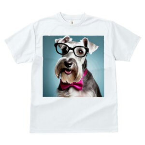 ~j`AViEU[ TVc  j[NfUCfB[X t@  t vg lJWA 킢 lԗp Mtg I ҏ΍ Kl ~j`AViEU[ 