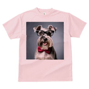 ~j`AViEU[ TVc  j[NfUCfB[X t@  t vg lJWA 킢 lԗp Mtg I ҏ΍ Kl ~j`AViEU[ 