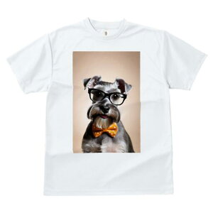 ~j`AViEU[ TVc  j[NfUCfB[X t@  t vg lJWA 킢 lԗp Mtg I ҏ΍ Kl ~j`AViEU[ 