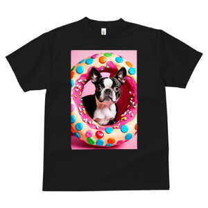 {XgeA TVc  j[NfUCfB[X t@  t vg lJWA 킢 lԗp Mtg I ҏ΍ h[ic {XgeA XC[c َq 