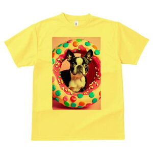 {XgeA TVc  j[NfUCfB[X t@  t vg lJWA 킢 lԗp Mtg I ҏ΍ h[ic {XgeA XC[c َq 