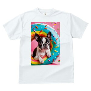 {XgeA TVc  j[NfUCfB[X t@  t vg lJWA 킢 lԗp Mtg I ҏ΍ h[ic {XgeA XvN J