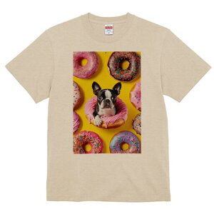 {XgeA TVc  j[NfUCfB[X t@  t vg lJWA 킢 lԗp Mtg I ҏ΍ h[ic {XgeA XC[c َq