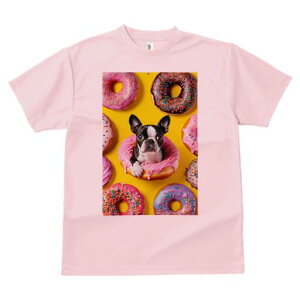 {XgeA TVc  j[NfUCfB[X t@  t vg lJWA 킢 lԗp Mtg I ҏ΍ h[ic {XgeA XC[c َq