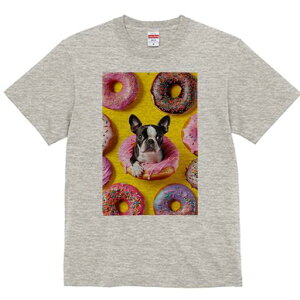 {XgeA TVc  j[NfUCfB[X t@  t vg lJWA 킢 lԗp Mtg I ҏ΍ h[ic {XgeA XC[c َq