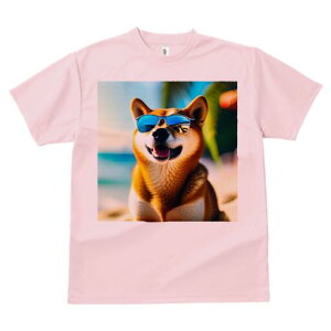 Č TVc  j[NfUCfB[X t@  t vg lJWA 킢 lԗp Mtg I ҏ΍ TOX Č r[`  C