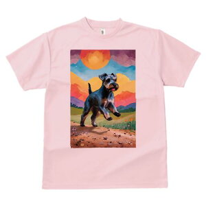 ~j`AViEU[ TVc  j[NfUCfB[X t@  t vg lJWA 킢 lԗp Mtg I ҏ΍ i ~j`AViEU[  